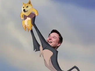 Elon Musk Dogecoin