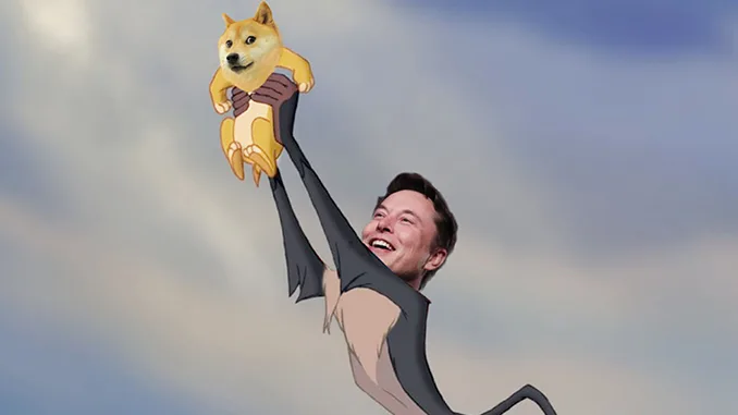 Elon Musk Dogecoin