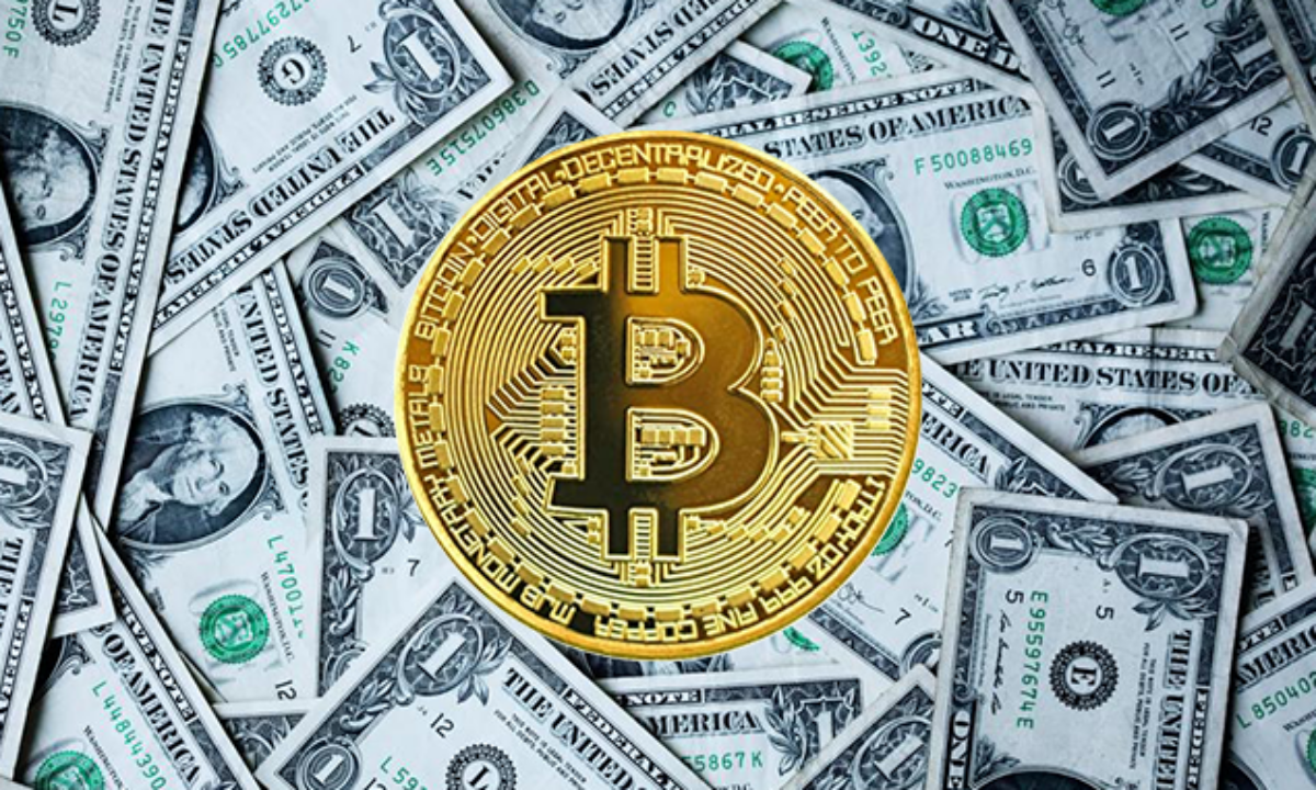 Gewagte These: Mit nur 0,01 Bitcoin reich werden? – Block-Builders.de