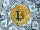 Bitcoin Rich