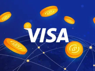 VISA USDC