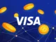 VISA USDC