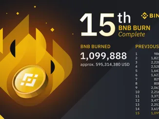 Binance Burn