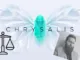Chrysalis David Sonstebo