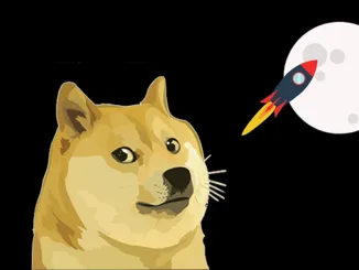 Dogecoin rocket moon