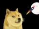 Dogecoin rocket moon