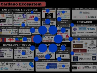 Cardano Ecosystem