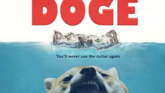 Doge Elon