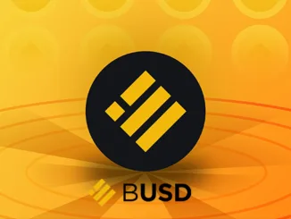 Binance BUSD