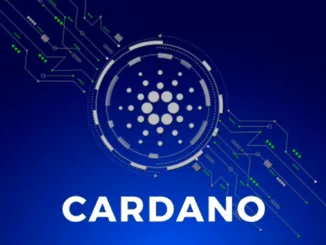 Cardano Alonzo