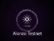 Cardano Alonzo