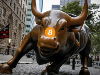 Bitcoin Bull Market