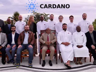 Cardano africa