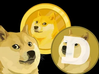 Doge Shib