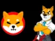 Shiba inu