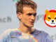 Vitalik Buterin Shiba