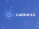 Cardano