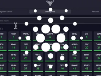Cardano Staking