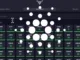 Cardano Staking