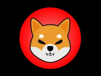 Shiba Inu