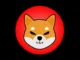Shiba Inu