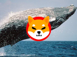 Shiba Whale