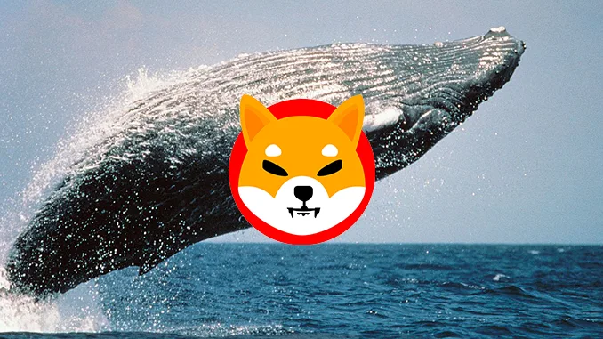 Shiba Whale
