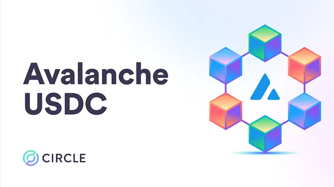 Avalanche USDC
