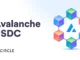 Avalanche USDC