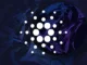 Cardano Hydra