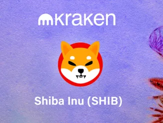 Shiba Kraken