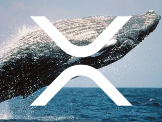 XRP whale