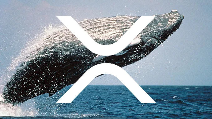 XRP whale