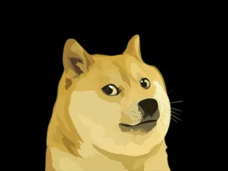 Dogecoin