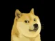 Dogecoin