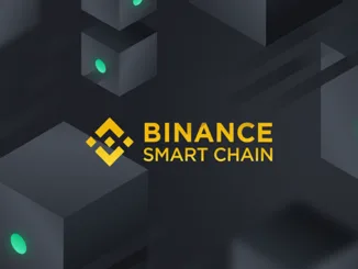 Binance-Smart-Chain-678×381
