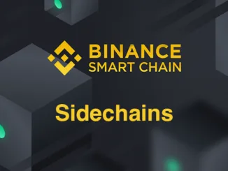 Binance Smart Chain Sidechains