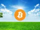 Bitcoin Green Field