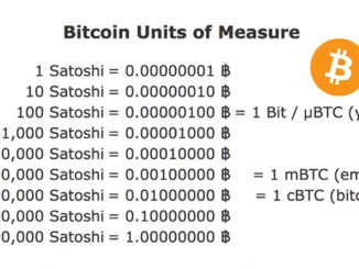 Bitcoin Satoshi