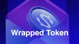 Wrapped Token