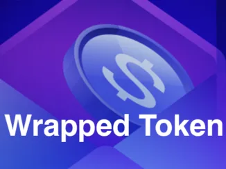 Wrapped Token
