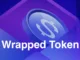 Wrapped Token