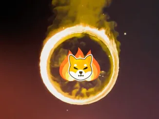SHIBA Burn