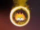 SHIBA Burn