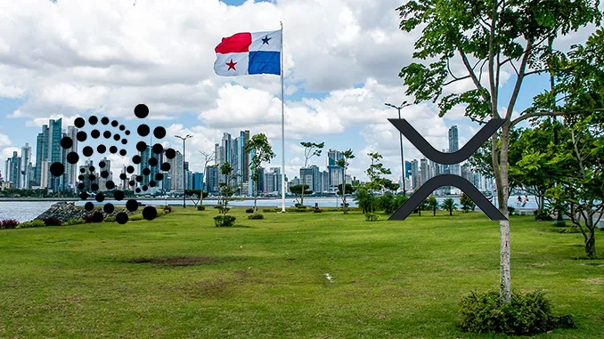 Panama IOTA XRP