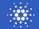 Cardano