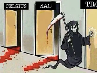 Crypto Crash