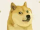 Dogecoin