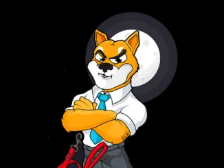 Shiba Inu
