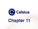 Celsius Chapter 11